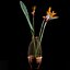 Strilicia en Grid Vase