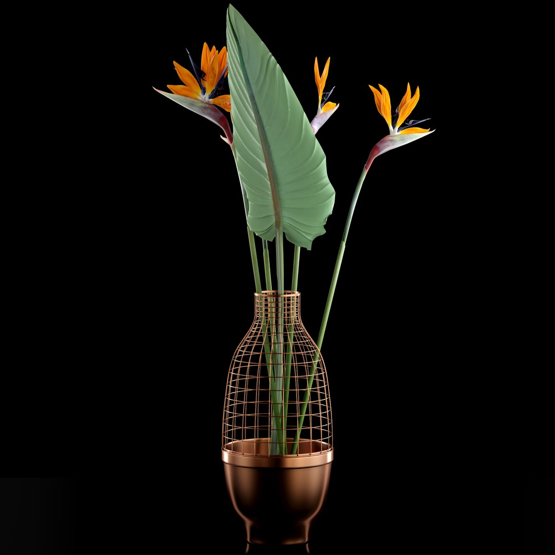 realistic strilicia flowers grid 3d model https://p.turbosquid.com/ts-thumb/od/OCTezl/X4MIFDqx/3/jpg/1487074090/1920x1080/fit_q87/36232d3660127769e6b798f3fad54b8a48edb9ae/3.jpg