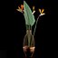 Strilicia en Grid Vase