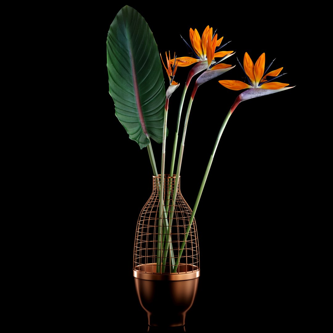 realistic strilicia flowers grid 3d model https://p.turbosquid.com/ts-thumb/od/OCTezl/gRWk3wyr/1/jpg/1487074125/1920x1080/fit_q87/4b48f8a9964d263851b88fc7ce289ac842d6bbb5/1.jpg