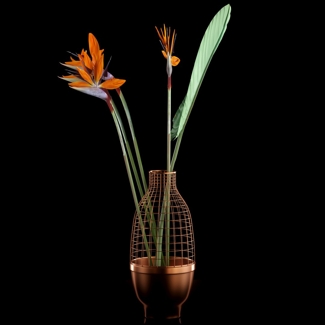 realistic strilicia flowers grid 3d model https://p.turbosquid.com/ts-thumb/od/OCTezl/hmkEzqYi/5/jpg/1487074090/1920x1080/fit_q87/7c491de00755bd347506ad2a67f62489ec99cd02/5.jpg