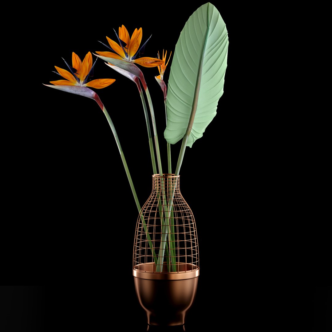 realistic strilicia flowers grid 3d model https://p.turbosquid.com/ts-thumb/od/OCTezl/lGAXQ2jz/4/jpg/1487074090/1920x1080/fit_q87/8a5d665acf8854ca22cceb12dc1dc3dd1e342dc9/4.jpg