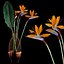 Strilicia en Grid Vase