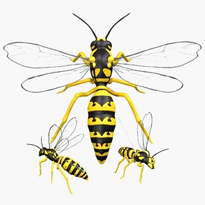 3D Rigged low poly Hornet model