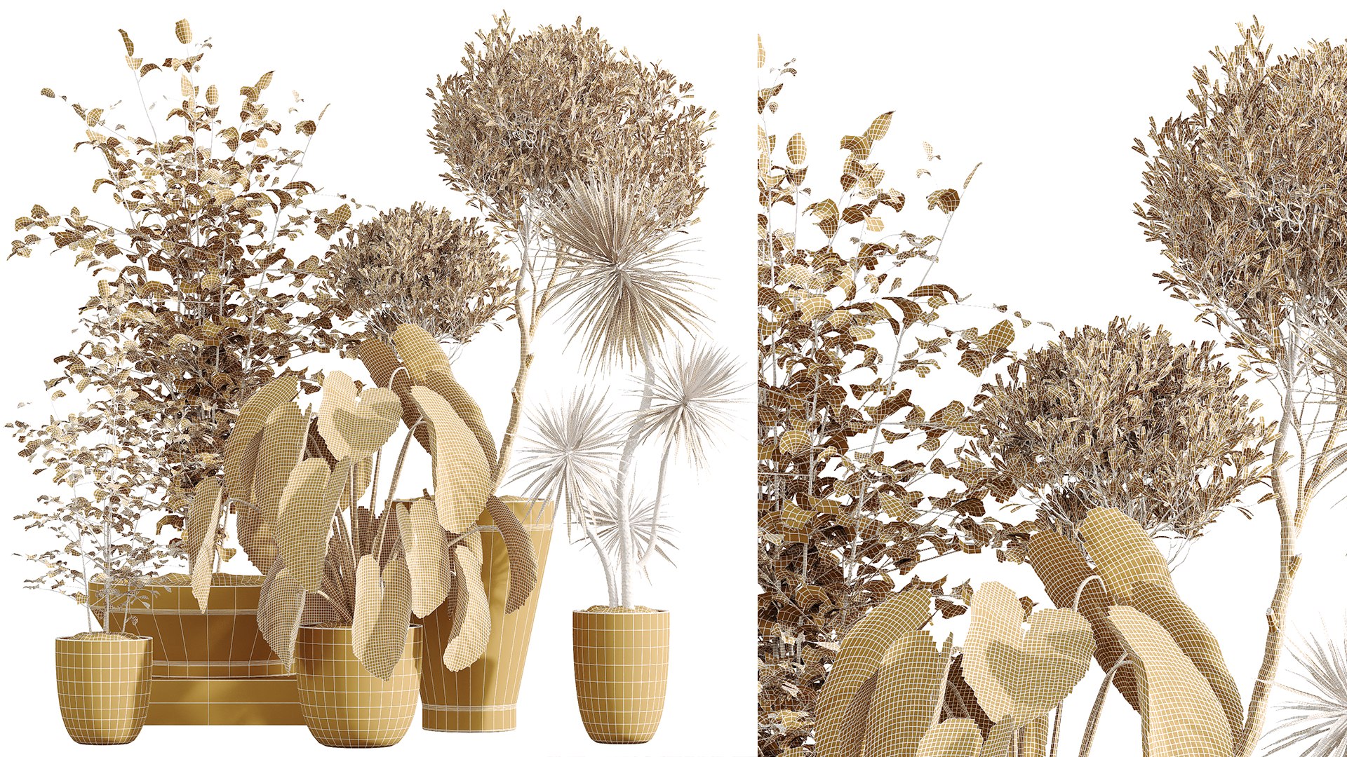 AV Indoor Plants Set 226 Mission Olive and Alnus Glutinosa Alder and Yucca Aloifolia Palm and Cunjev 3D model https://p.turbosquid.com/ts-thumb/od/VvYqrk/U4/07/png/1747734033/1920x1080/fit_q87/29bd49f6e6963b584756c819fe4580b7693a896b/07.jpg