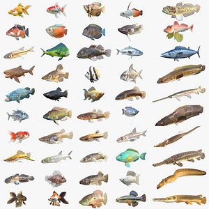 50 Fish Sea Creatures Collection v7 3D model