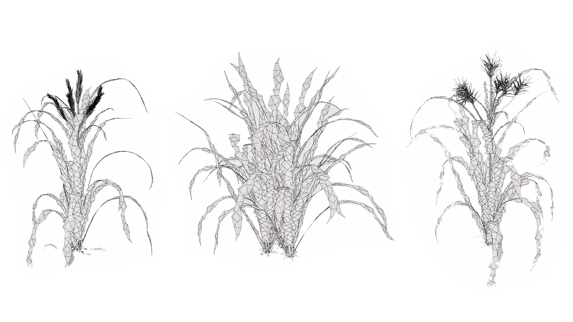 3D model 3D Tiger Nut Plant Pack https://p.turbosquid.com/ts-thumb/od/bWV5Zx/V4/wirel/jpg/1785424137/1920x1080/fit_q87/a839e6d751a1f98b3c49e93e3308ca558b3c066e/wirel.jpg
