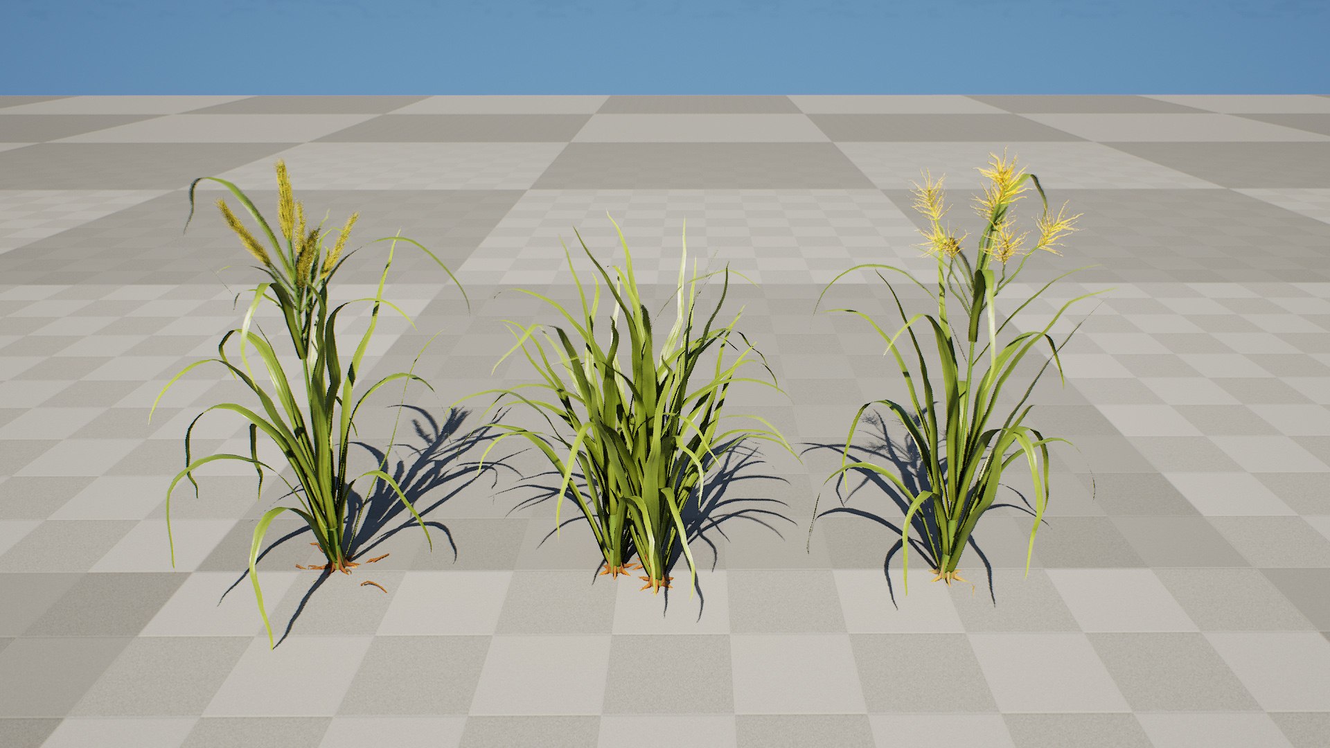 3D model 3D Tiger Nut Plant Pack https://p.turbosquid.com/ts-thumb/od/bWV5Zx/bz/highresscreenshot00001/jpg/1785424134/1920x1080/fit_q87/30696bbd14d89f618e6b3c532b66acafddebb70b/highresscreenshot00001.jpg