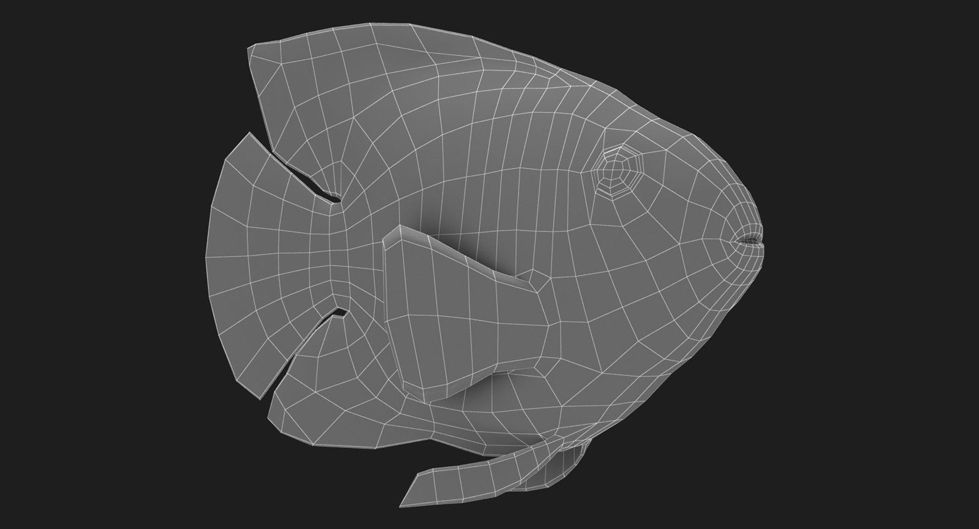 blood parrot cichlid scanline 3d model https://p.turbosquid.com/ts-thumb/od/fPJUTf/44gEcW1j/ryukingoldfish_rr20/jpg/1527029454/1920x1080/fit_q87/9f04bb404b85db7615cf7d69ad51d0529934046d/ryukingoldfish_rr20.jpg
