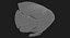 Blood Parrot Cichlid