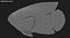 Blood Parrot Cichlid