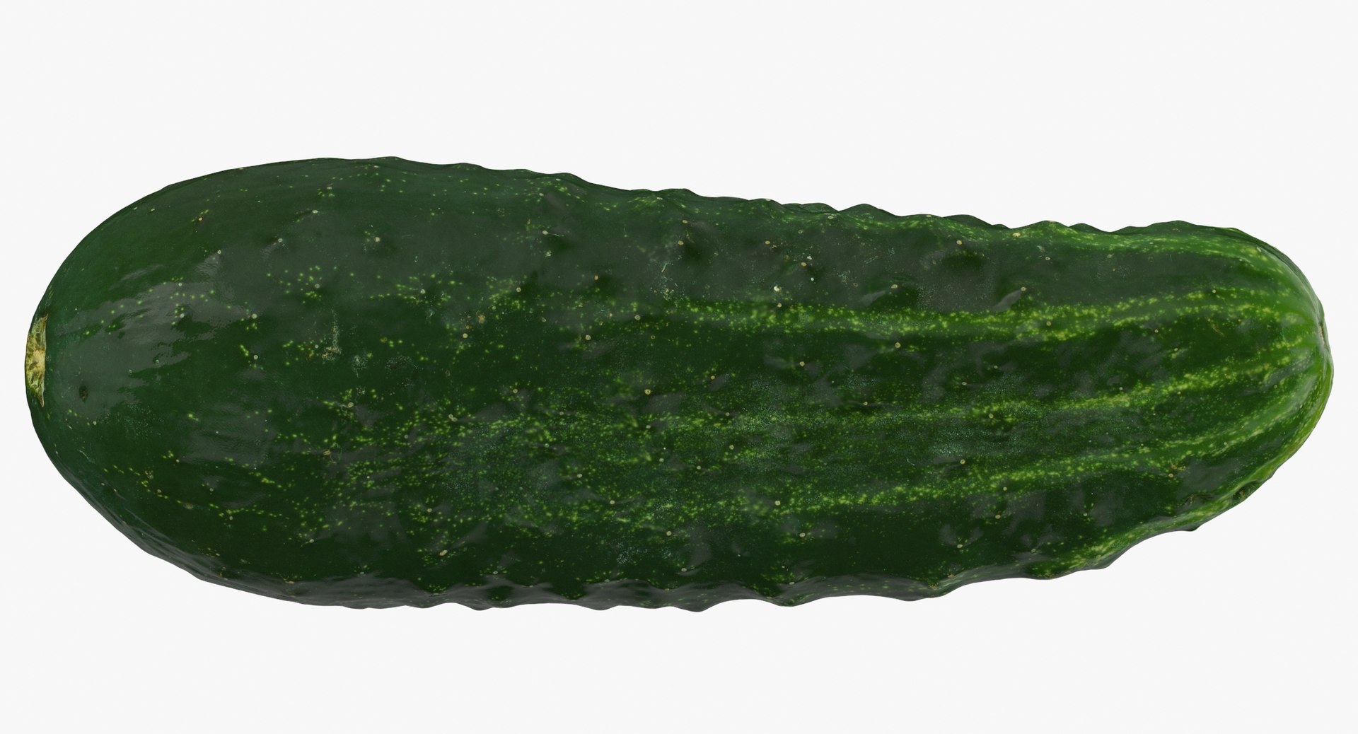 Tomatos and Cucumbers Whole and Cut 01 - 4 models 3D model https://p.turbosquid.com/ts-thumb/od/mcvWba/TN/kirby_cucumber_01_thumbnail_0007/jpg/1635485505/1920x1080/fit_q87/c5fff8d0477de0fd2b3a8b16528be1d1916d219c/kirby_cucumber_01_thumbnail_0007.jpg