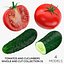 Tomaten und Gurken ganz und geschnitten 01 - 4 Modelle