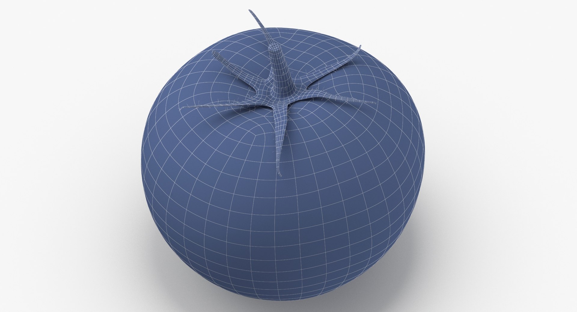 Tomatos and Cucumbers Whole and Cut 01 - 4 models 3D model https://p.turbosquid.com/ts-thumb/od/mcvWba/kj/tomato_with_leaf_wireframe_0003/jpg/1635485536/1920x1080/fit_q87/cc21714b74415d9c7fdbfe17fc1aed57115eedc0/tomato_with_leaf_wireframe_0003.jpg