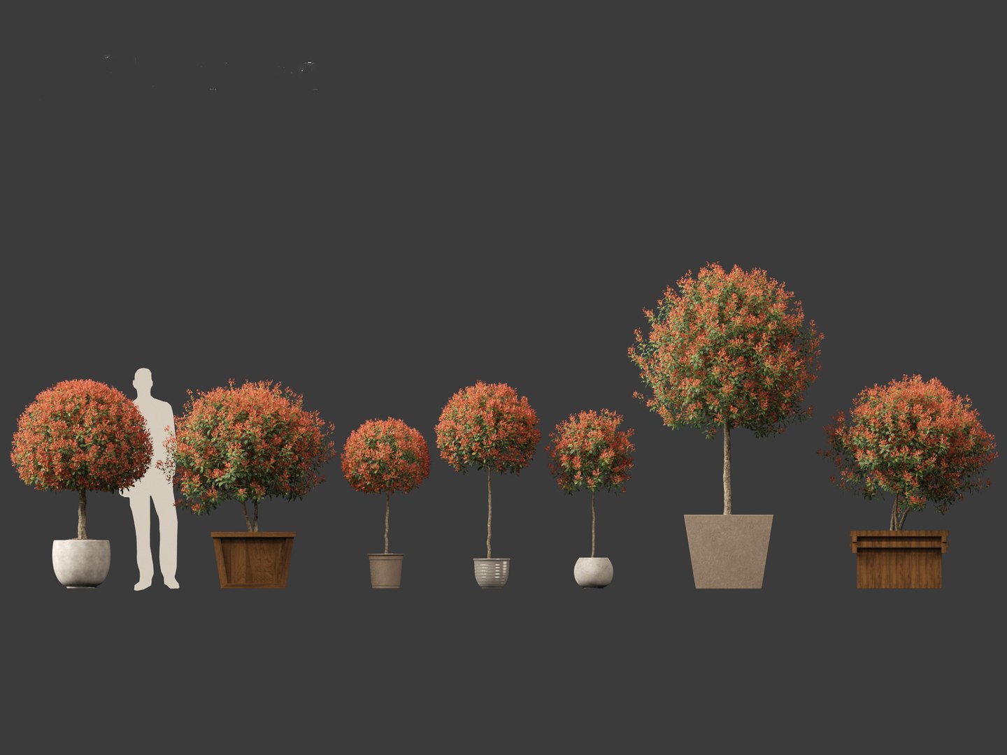 3D model Photinia x fraseri Red Robin - Red tip photinia 03 https://p.turbosquid.com/ts-thumb/od/ncqgxK/Bm/photiniaxfraseriredrobin032/jpg/1694791351/1920x1080/fit_q87/251db216c51ce96e04e3d4079c85c2c709d2a841/photiniaxfraseriredrobin032.jpg