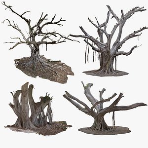 4 GIANT FICUS 3D TREE PACK BUNDLE COLLECTION 3D
