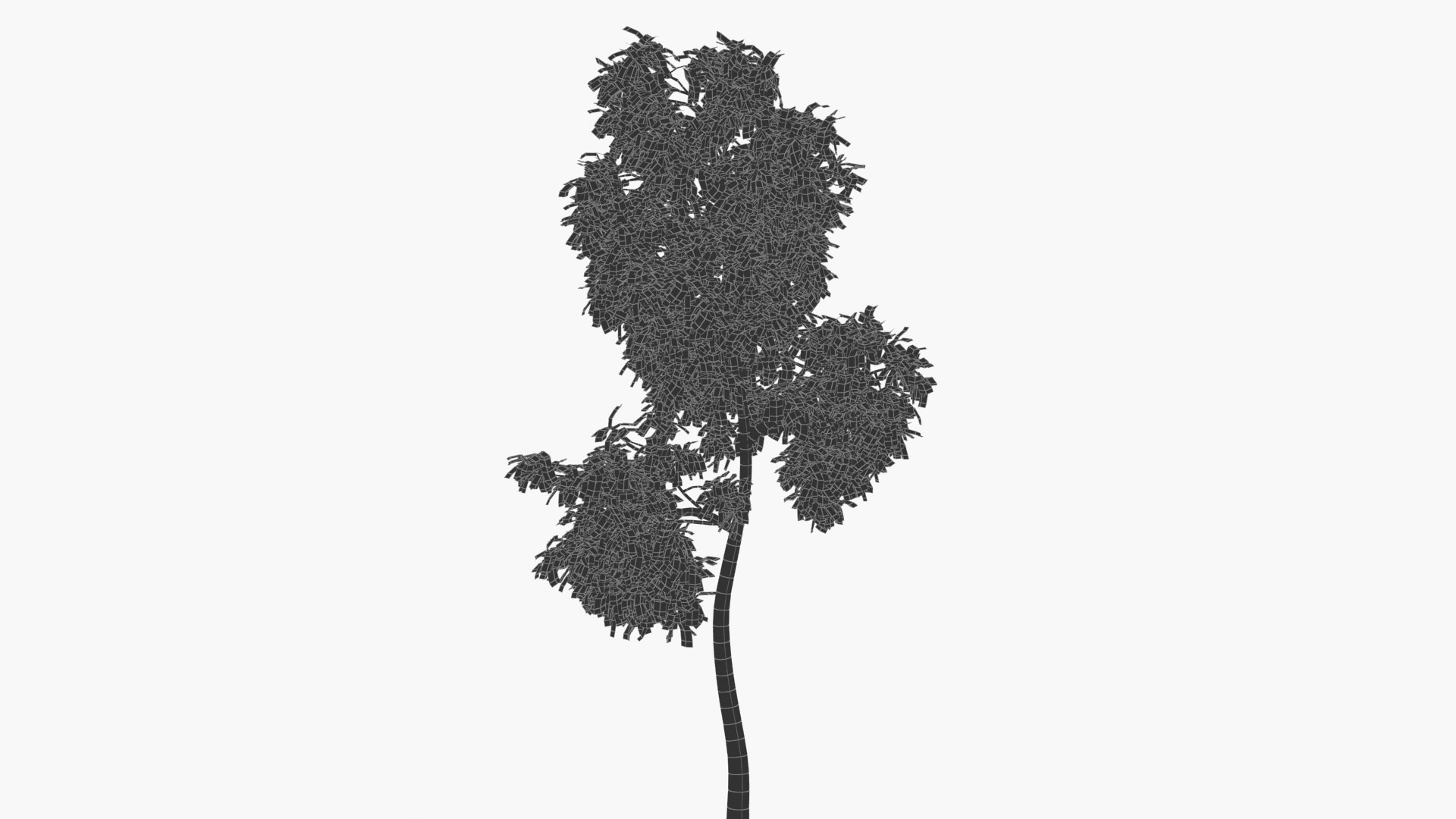 wind tree 3D https://p.turbosquid.com/ts-thumb/od/wizjct/AT/hhxk_0000/jpg/1608603506/1920x1080/fit_q87/65e2bcdace80e042cfdc0aae041757e8a5c400bc/hhxk_0000.jpg