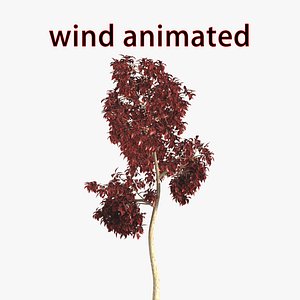 wind tree 3D