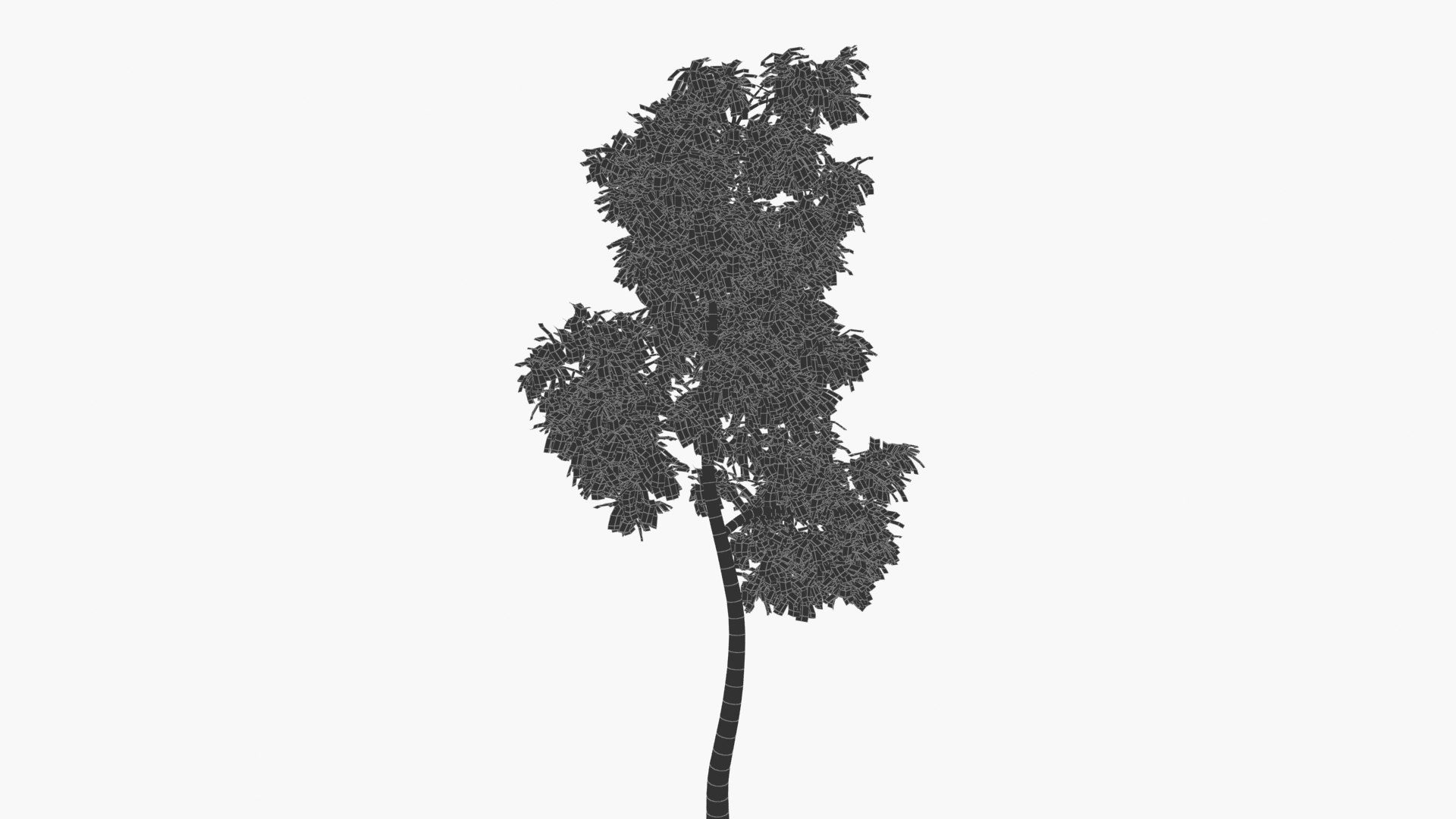 wind tree 3D https://p.turbosquid.com/ts-thumb/od/wizjct/Ul/hhxk_0002/jpg/1608603507/1920x1080/fit_q87/e3544948708489086aeb892f9c3b81b404624433/hhxk_0002.jpg