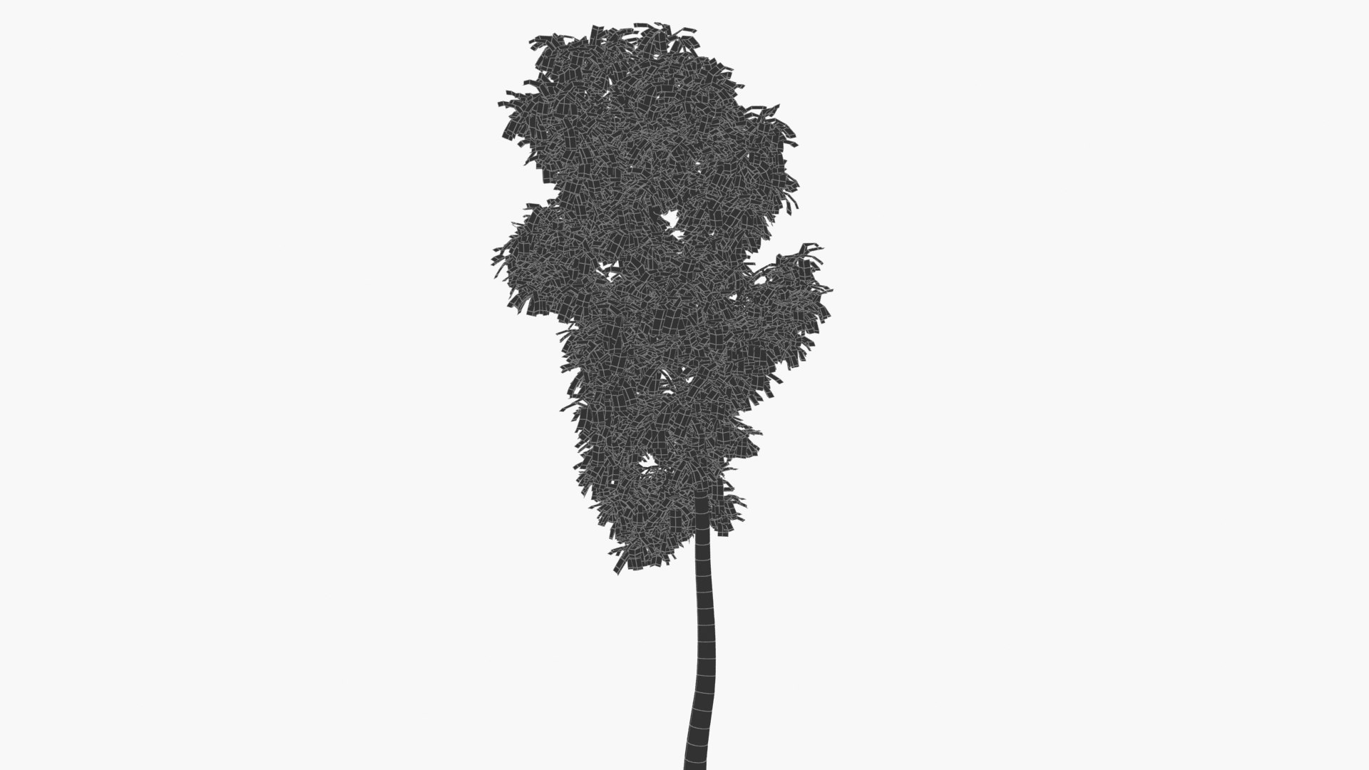 wind tree 3D https://p.turbosquid.com/ts-thumb/od/wizjct/fv/hhxk_0001/jpg/1608603506/1920x1080/fit_q87/6267522782d66c2b036f516ec6b672668ba9ba44/hhxk_0001.jpg