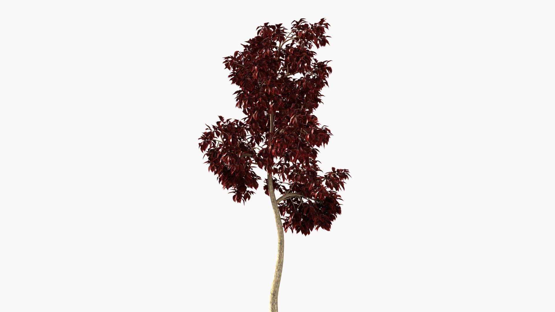 wind tree 3D https://p.turbosquid.com/ts-thumb/od/wizjct/tZ/hh_0002/jpg/1608603506/1920x1080/fit_q87/a01e54f6512806c0aede7e0b855da9a8f9ac8d7d/hh_0002.jpg