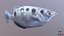 3D archerfish pbr model
