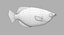 3D archerfish pbr model