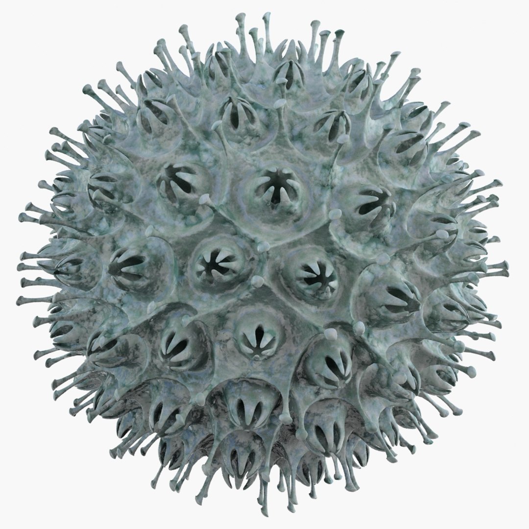max micro object mht