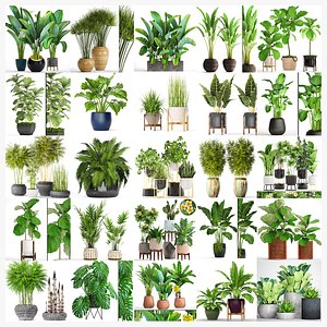 3D Collection of plants 55 pieces model