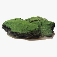 Limestone with Seaweed