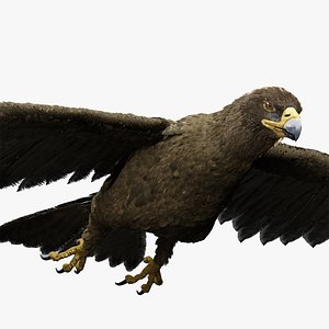 Golden Eagle 3D Blender