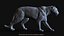 BLACK PANTHER ANIMIERTER XGEN-KERN