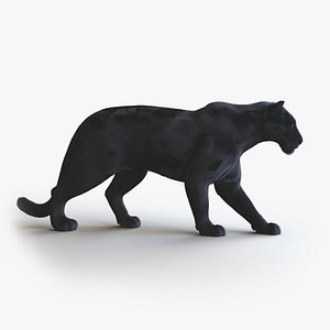 BLACK PANTHER ANIMATED XGEN-CORE