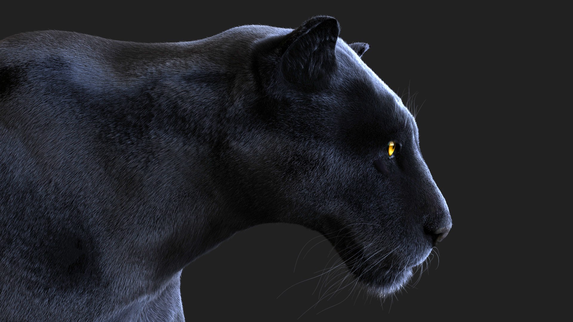 3D BLACK PANTHER ANIMATED XGEN-CORE https://p.turbosquid.com/ts-thumb/oe/ZXSjTk/Kw/4/jpg/1685149832/1920x1080/fit_q87/209ef5d1cc9bc2422efd7397160ec4a97eaa635f/4.jpg