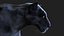 BLACK PANTHER ANIMIERTER XGEN-KERN