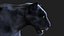 BLACK PANTHER ANIMIERTER XGEN-KERN