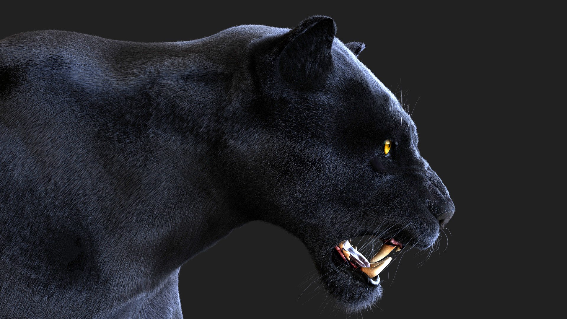 3D BLACK PANTHER ANIMATED XGEN-CORE - TurboSquid 2075244