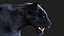 BLACK PANTHER ANIMIERTER XGEN-KERN