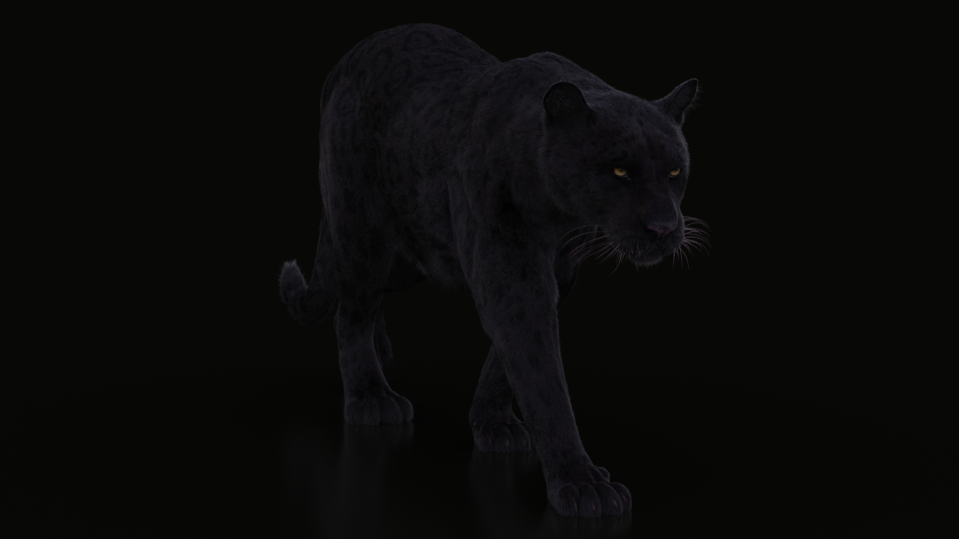 3D BLACK PANTHER ANIMATED XGENCORE TurboSquid 2075244