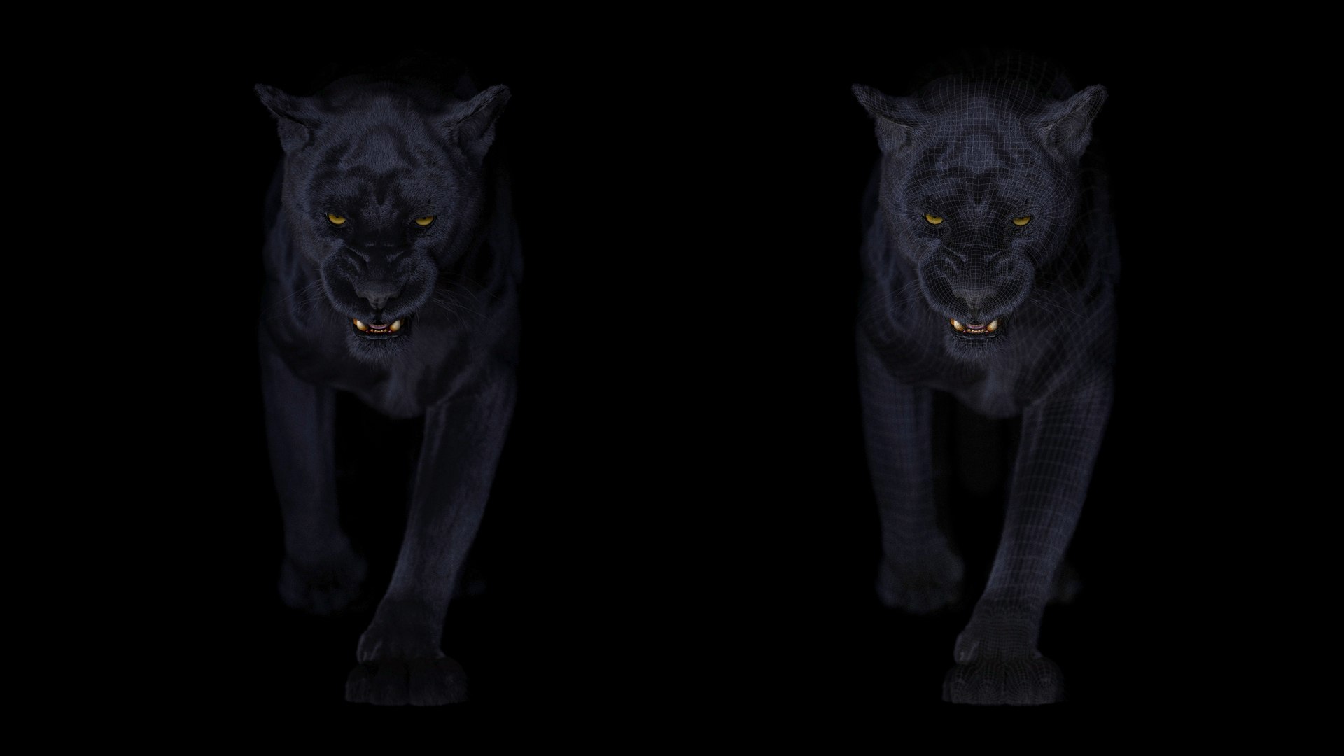 3D BLACK PANTHER ANIMATED XGEN-CORE https://p.turbosquid.com/ts-thumb/oe/ZXSjTk/pO/13/jpg/1685148334/1920x1080/fit_q87/68b33a1864f4eb2e2c40a8bd54ca5aff33cc648e/13.jpg