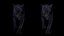 BLACK PANTHER ANIMIERTER XGEN-KERN