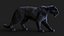 BLACK PANTHER ANIMIERTER XGEN-KERN