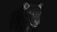 BLACK PANTHER ANIMIERTER XGEN-KERN