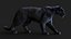 BLACK PANTHER ANIMIERTER XGEN-KERN