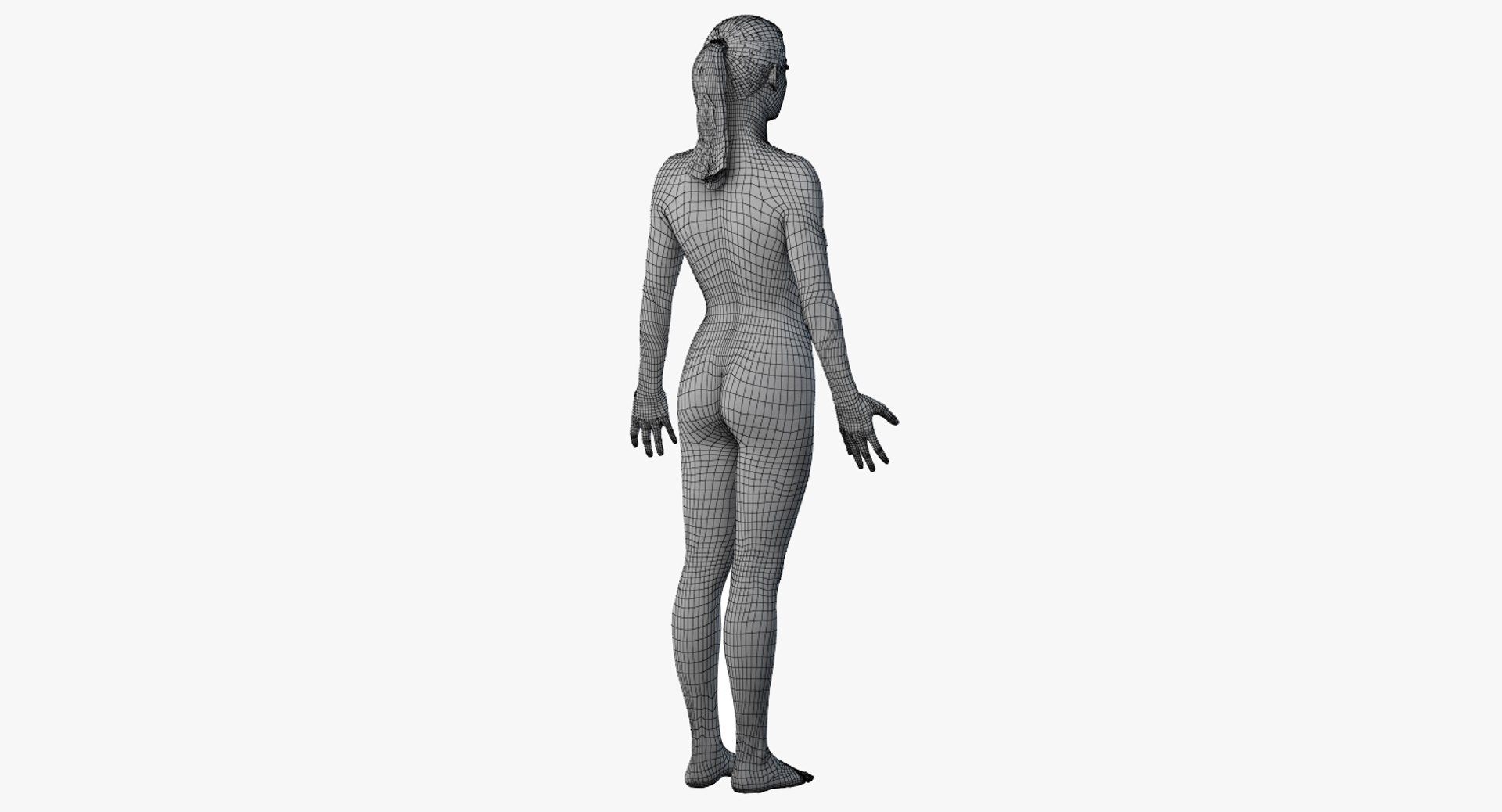 3D male female anatomy set model https://p.turbosquid.com/ts-thumb/oe/ZdnhW0/0ea1ALyA/2019_female_wire_body0005/jpg/1557215617/1920x1080/fit_q87/ca63bac39b4223ecec87ce9ba66173461999dac1/2019_female_wire_body0005.jpg