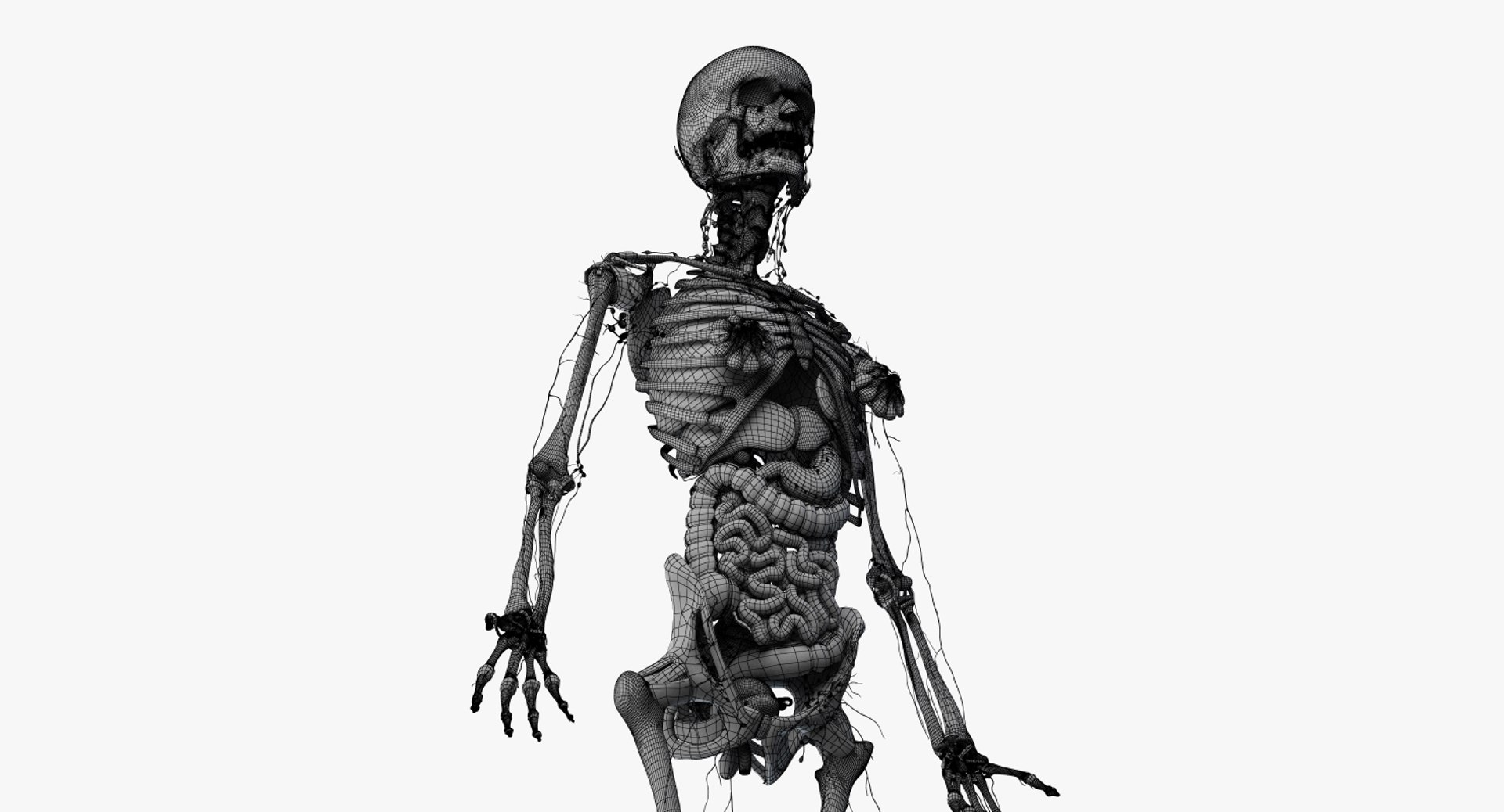 3D male female anatomy set model https://p.turbosquid.com/ts-thumb/oe/ZdnhW0/5aBLBIIq/2019_female_wire_anatomy_skel_org0006/jpg/1557217971/1920x1080/fit_q87/780341d7fccf9cc8a4359105e716ea9e42522dfb/2019_female_wire_anatomy_skel_org0006.jpg