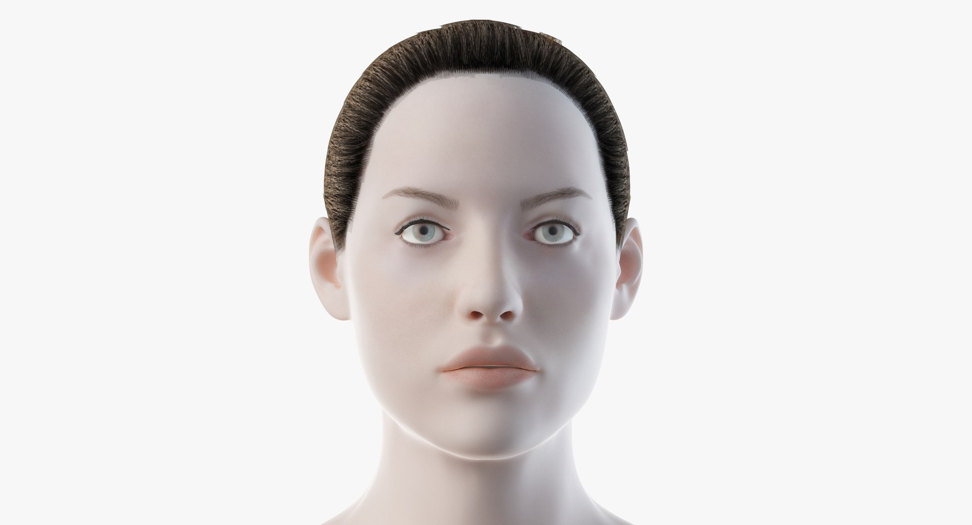 3D male female anatomy set model https://p.turbosquid.com/ts-thumb/oe/ZdnhW0/8cCqLmqV/2019_female_body0003/jpg/1557214318/1920x1080/fit_q87/d3951fe879719f0bb86755e6d6c9d209e6e24881/2019_female_body0003.jpg