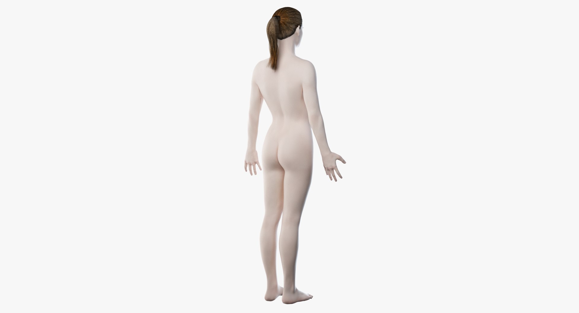 3D male female anatomy set model https://p.turbosquid.com/ts-thumb/oe/ZdnhW0/JNPCMw6z/2019_female_body0005/jpg/1557214306/1920x1080/fit_q87/2d0b5af77548b07a1cb6628f1ba91adb8167c7d0/2019_female_body0005.jpg