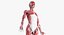 3D male female anatomy set model