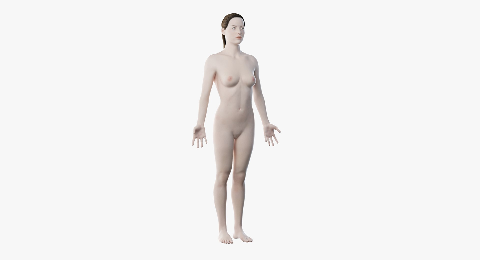 3D male female anatomy set model https://p.turbosquid.com/ts-thumb/oe/ZdnhW0/cGodTKa2/2019_female_body0000/jpg/1557214301/1920x1080/fit_q87/6bb93e73b7e75a6ecbfdbdc161fb3337aa4942fa/2019_female_body0000.jpg